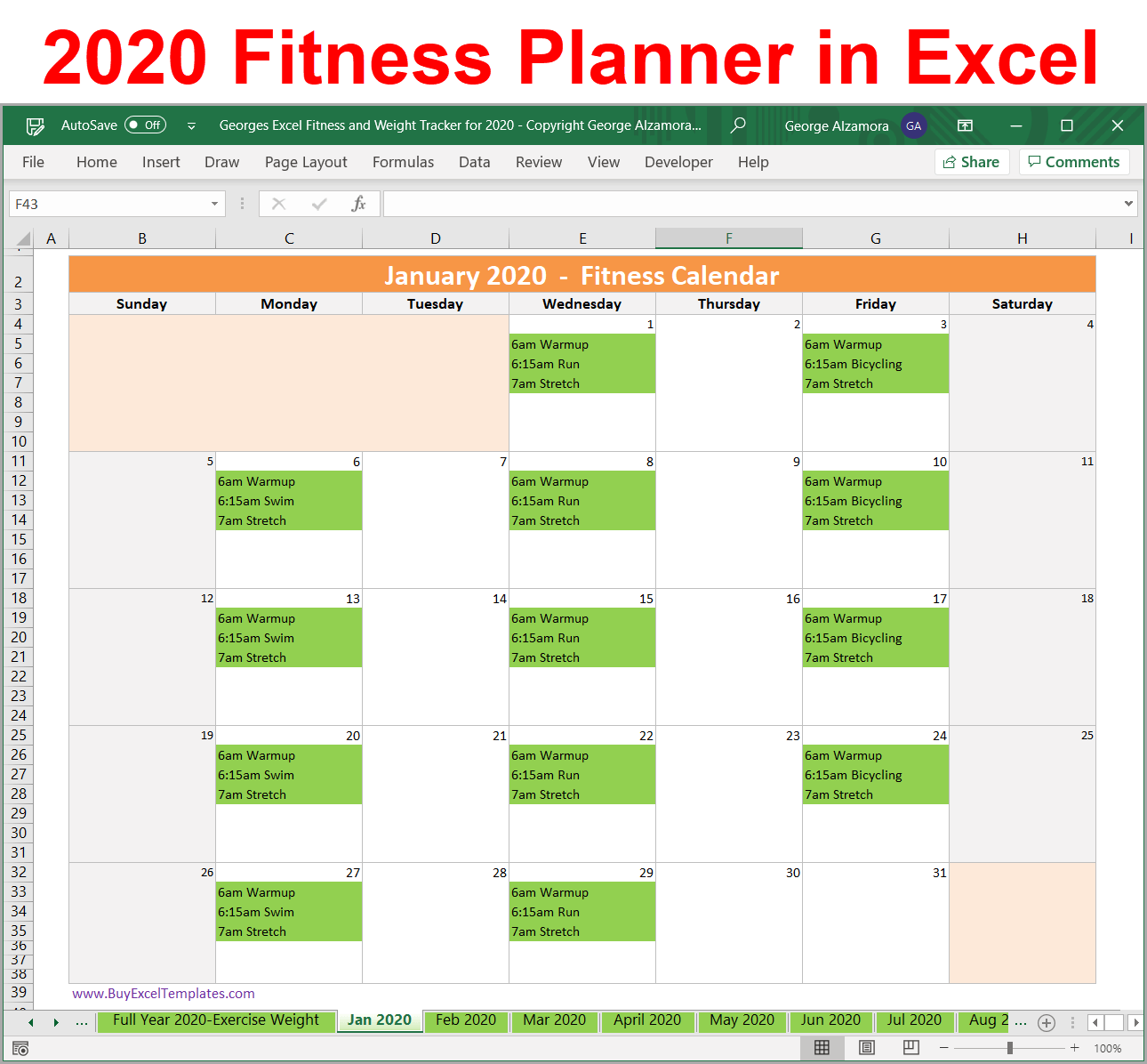 2020 Fitness Planner Spreadsheet: Weekly Monthly Schedule