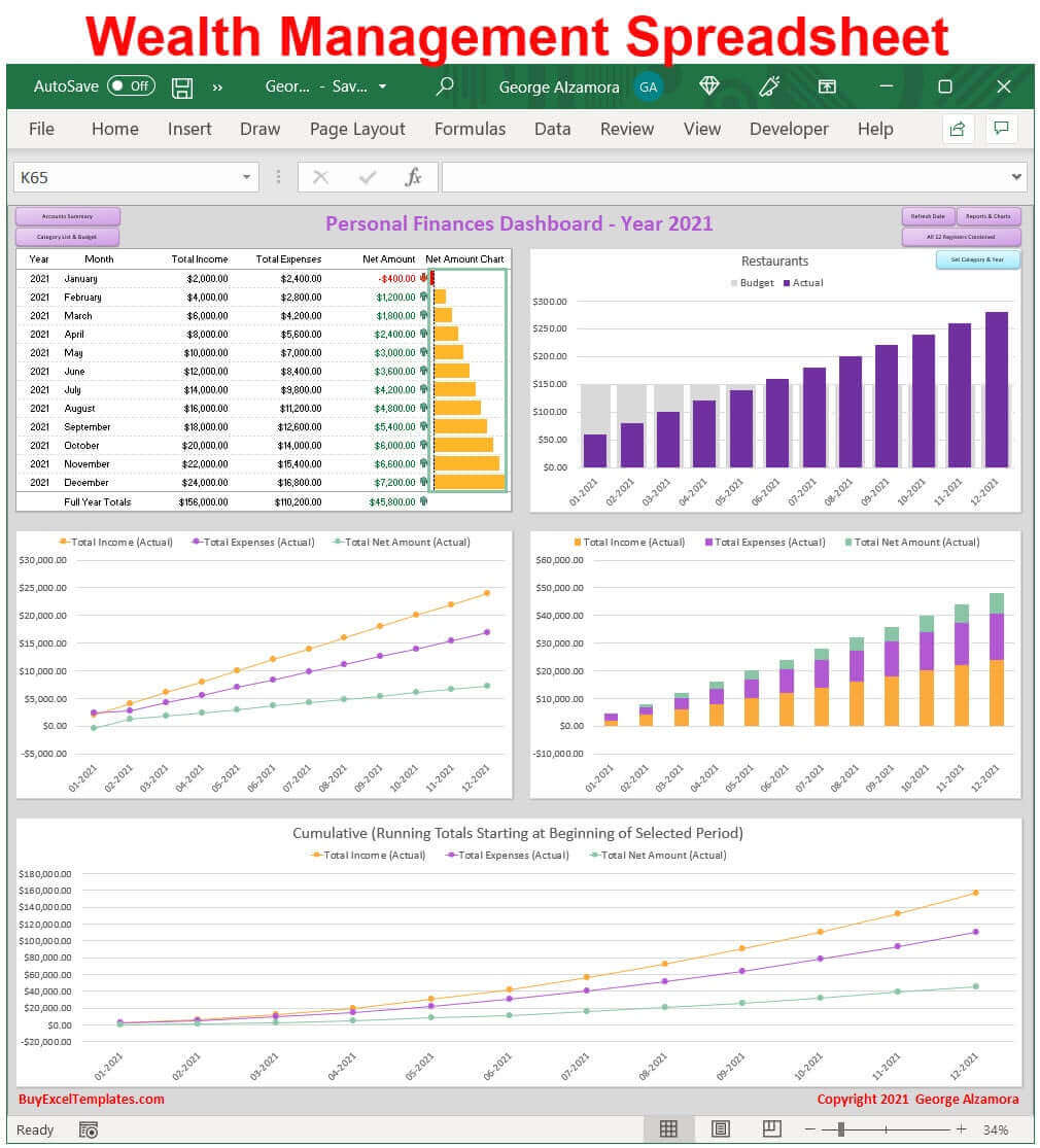 Wealth Management Spreadsheet Dashboard Budgeting & Checkbook App